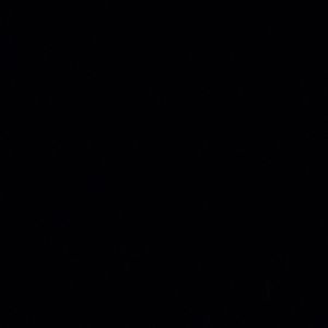 Meet your Posher, Jackson